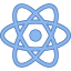 React Icon